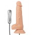 Naked Vibes 21cm Gerçekçi Dildo Vibratör